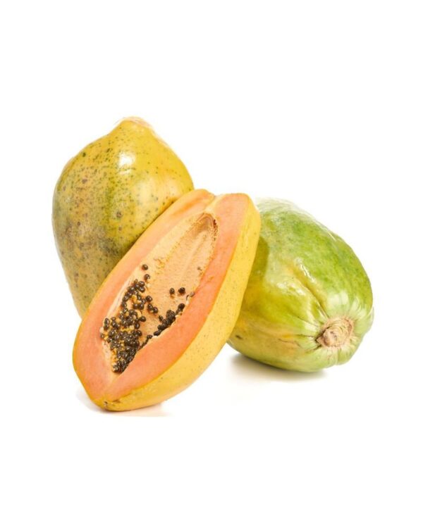 Papaya Sel Unid 1 und