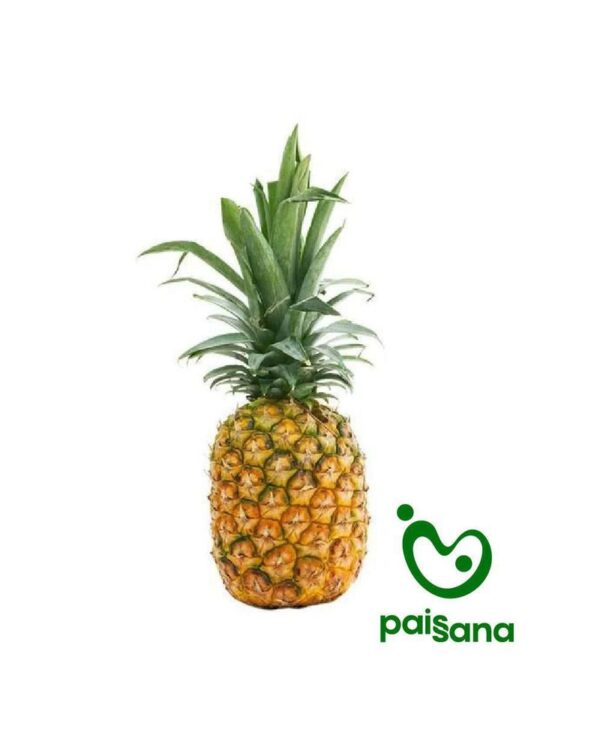 Piña 1 und