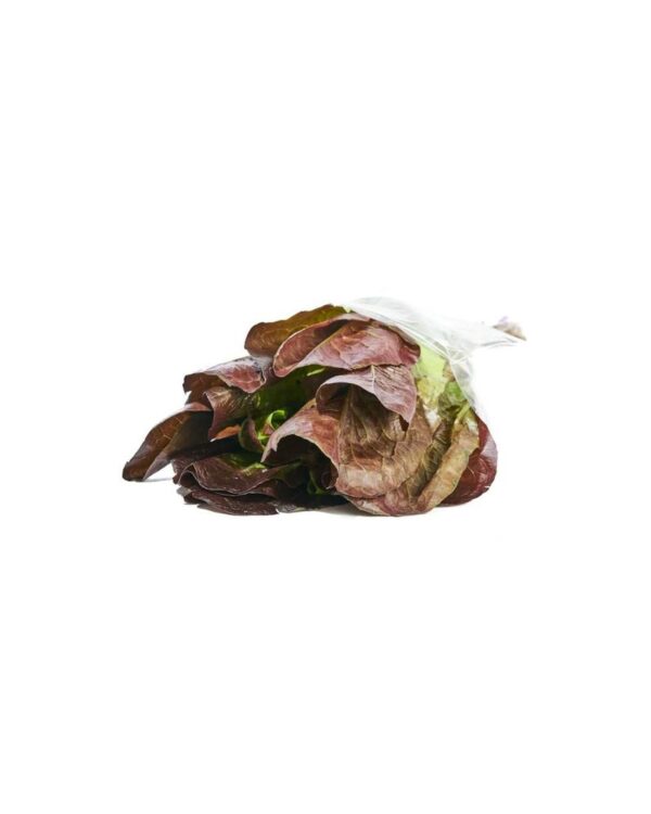 LECHUGA ROMANA MORADA 90 gr