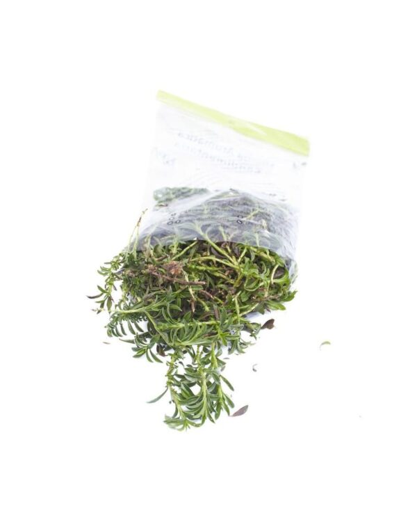 OREGANO BOLSA 50 gr