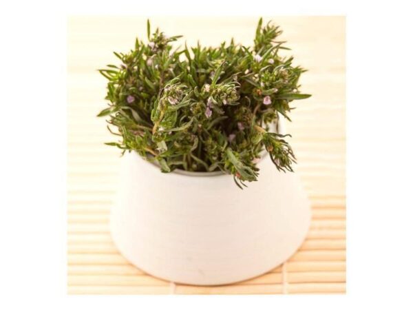 Oregano Fresco Capuchon 50 gr