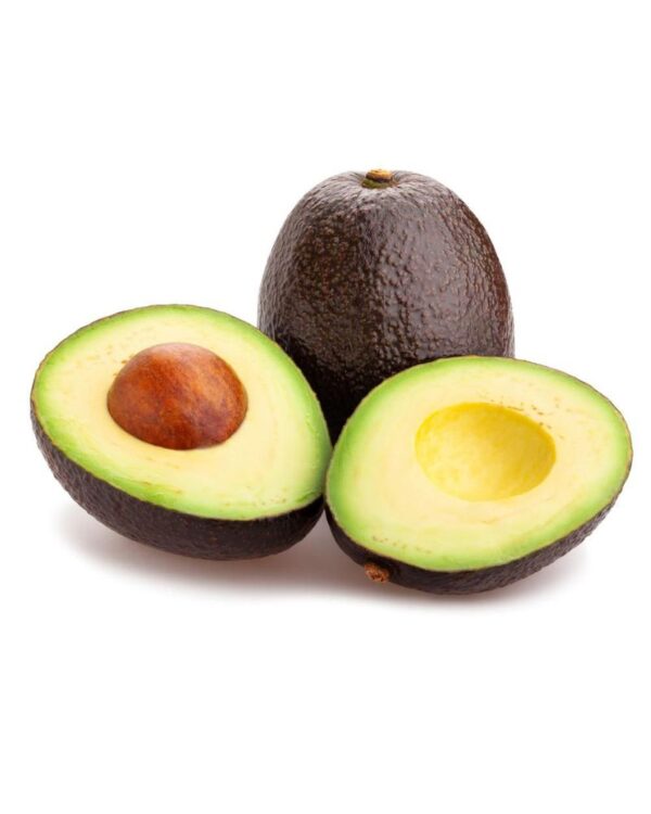 Aguacate Hass 1 und