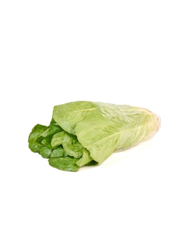 LECHUGA ROMANA ORGANICA 200 gr