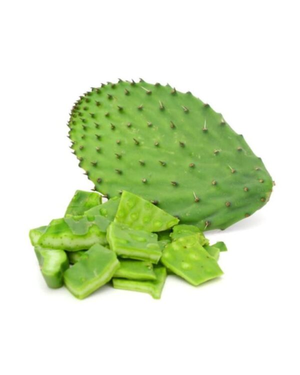 NOPAL