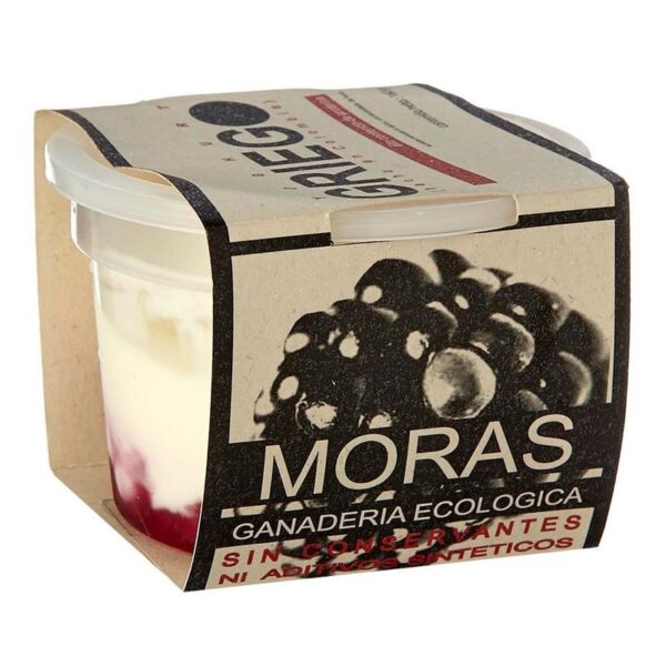 Yogurt griego Dejamu mora x160g