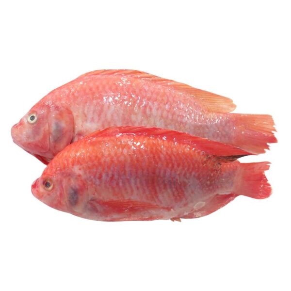 Mojarra roja x 500 g