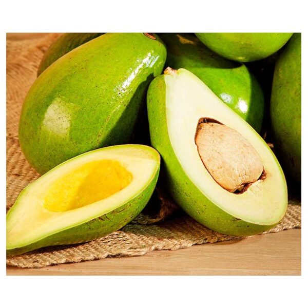 Aguacate injerto x 500 gr