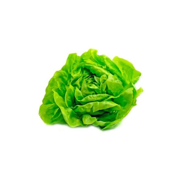 Lechuga verde lisa ecológica x120gr