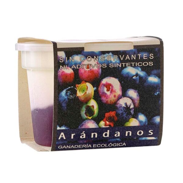 Yogurt griego Dejamu arándanos x160g