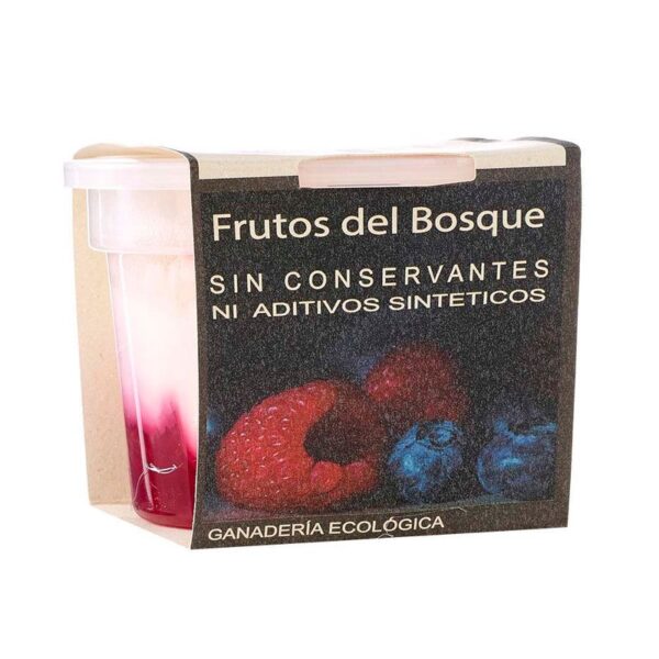 Yogurt griego Dejamu frutos bosque x160g