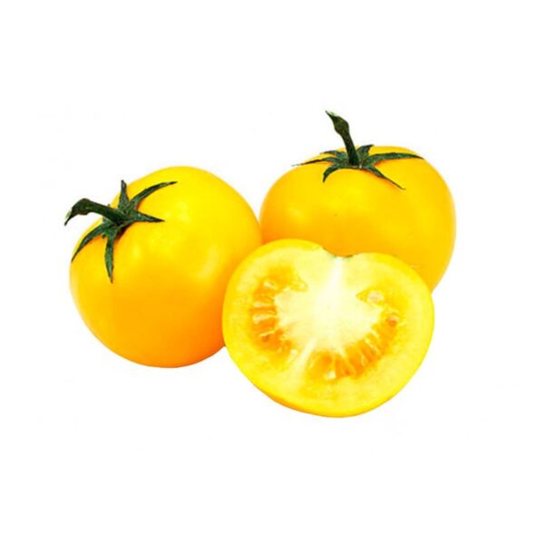 Tomate amarillo granel