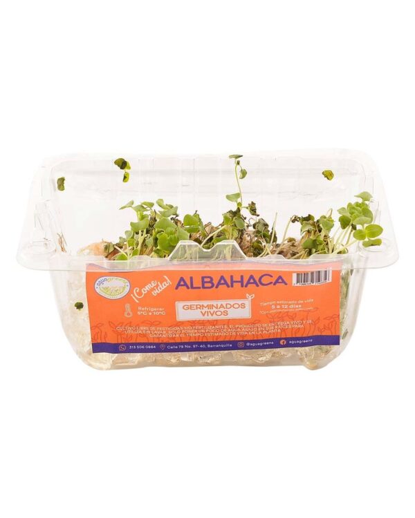 Albahaca Aguagreens Germinado 30 G