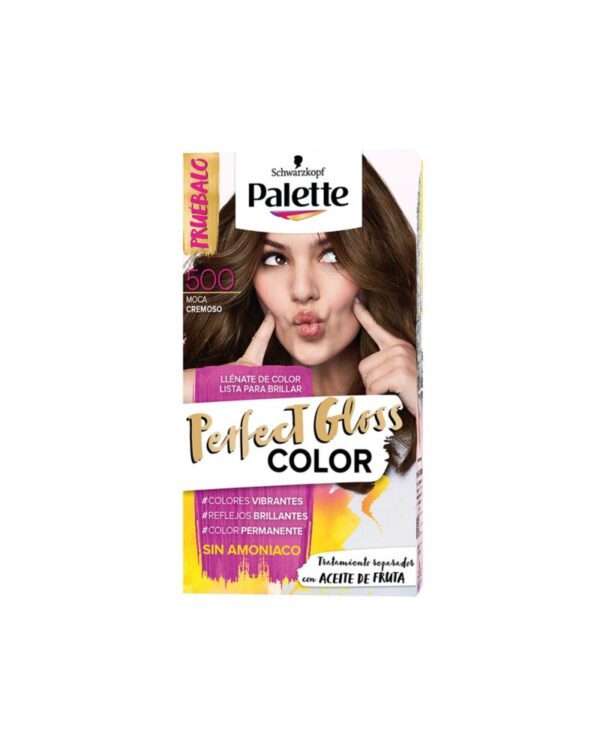 Tinte Palette Perfect Gloss 500 Moca Cremoso Sin Amoniaco